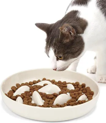 Image de Gamelle anti-glisse pour chats et petits chiens, haute