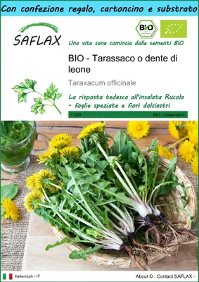 Immagine prodotto di SAFLAX Set regalo -- Tarassaco o dente di leone - 400 semi - Taraxacum