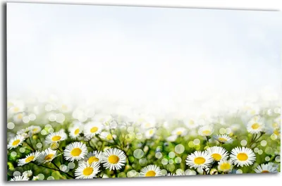 Produktbild von Herdabdeckplatte Glaskeramikkochfeld-Abdeckung Spritzschutz Glas 80x52 Blumen