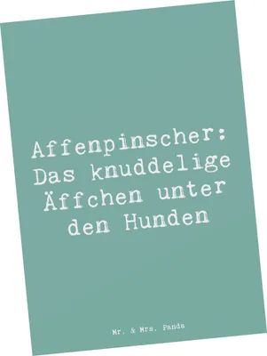 Produktbild von Mr. & Mrs. Panda Postkarte Spruch Affenpinscher Äffchen - Meeresbrise - Geschenk, Ansichtskarten, Postkarten, Fotokarte, Familienhund, Wohnungshund, Hunderasse, quirlig