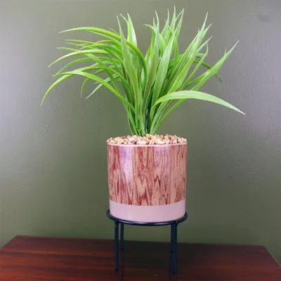 Image de Plante artificielle pour bureau, avec pot décoratif