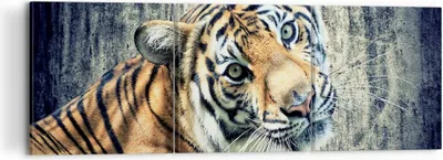 Produktbild von Bild auf Leinwand - Leinwandbild - Indien stein tiger wild - 120x40cm - Wand Bild - Wanddeko - Leinwanddruck - Bilder - Kunstdruck - Wanddekoration - Leinwand bilder - Wandkunst - CA120x40-2464