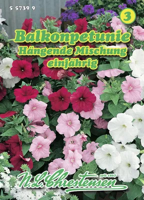 Artikelbild 1 von 'Balkonpetunie Mischung' aus der Kategorie Petuniensamen