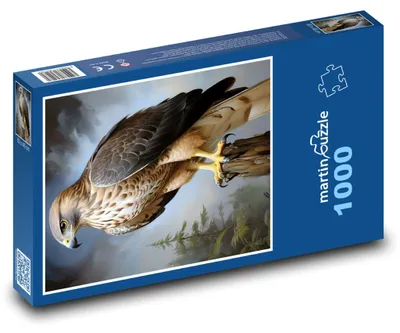 Produktbild von Puzzle 1000 Majestätischer Falke im Flug - martinpuzzle