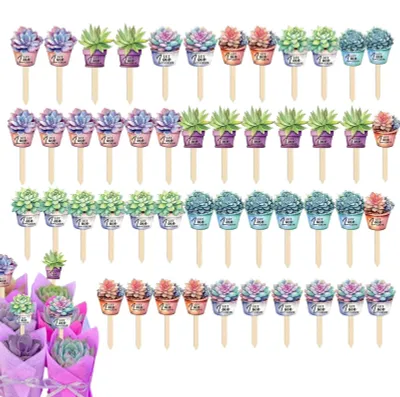 Imagen del producto de Juego de 48 etiquetas impermeables para plantas