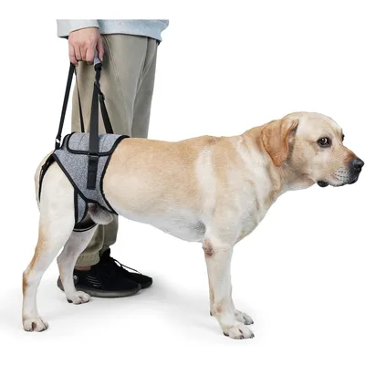 Produktbild von Hunde Tragehilfe für Hinterläufe – Verstellbares Hunde Geschirr & Geh-Hilfe für Altes, Verletztes & Krankes Hund, Hellgrau, XL