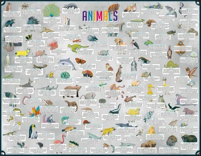 Produktbild von moses Verlag ALL ABOUT ANIMALS