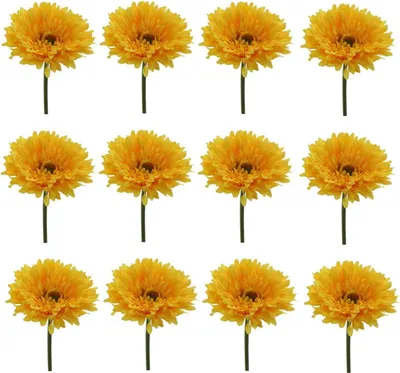 Produktbild von 12er Set künstliche Gerbera gelb H. 60cm mit fülliger Blüte D. 10cm GASPER