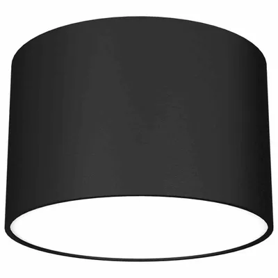 Imagen del producto de Lámpara de techo 1x20W DIXIE MLP7543 Milagro