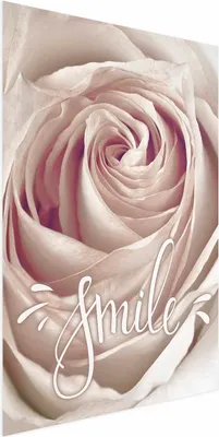 Produktbild von Posterpapier Poster - Smile! 60x90 cm Blumen m-C-0303-ao-a