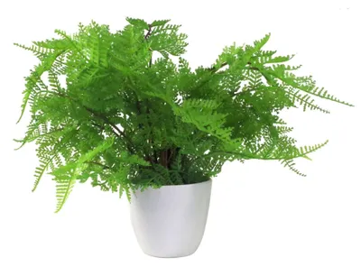 Künstliche Farnpflanze, 30 cm, im Topf, realistisch