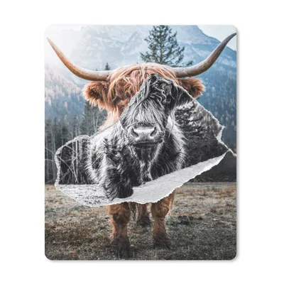 Produktbild von MuchoWow® Mauspad Mousepad Schottischer Highlander - Tiere - Schwarz - Weiß 19x23 cm - Mousepads - Maus Mat - Pad - Mausunterlage - Mauspads - Spielen