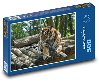 Obrázek produktu pro Puzzle 500 Tygr v lese - martinpuzzle