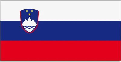 Produktbild von Flagge Slowenien