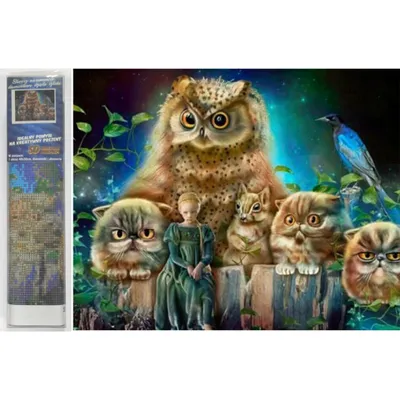 Zdjęcie produktu dla Norimpex Diamond Painting Straż Leśna 30x40cm