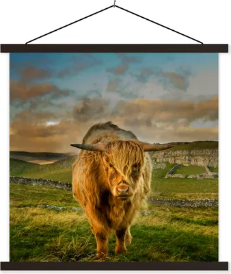 Produktbild von MuchoWow® Textilposter Schottisches Hochlandrind - Gras - Berg 120x120 cm mit schwarzem Rahmen - Aufhängungsset
