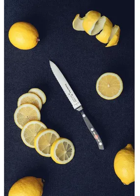 Produktbild von Dick Allzweckmesser 13 cm