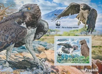 Produktbild von Briefmarken Guinea 2013 Mi Block 2241 (kompl. Ausgabe) postfrisch WWF - Greifvögel (Polemaetus bellicosus)