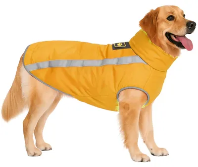 Imagen del producto de Abrigo impermeable para perros, para protección y comodidad