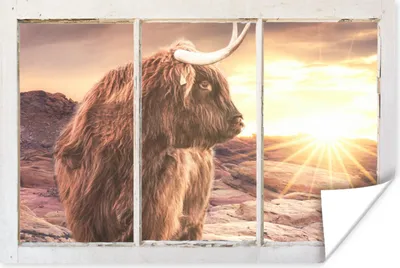 Produktbild von MuchoWow® Poster Schottischer Highlander - Aussicht - Sonnenuntergang 60x40 cm - Schlafzimmerdekoration