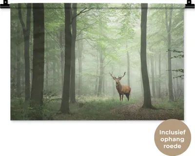 Produktbild von MuchoWow® Wandteppich Wandbehang Hirsche - Wald - Bäume 60x40 cm Tapisserie Dekoration Wandtuch - Wanddekorationen