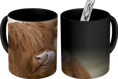 Obrázek produktu pro MuchoWow® Kouzelný pohár Skotský horal - Hnědý - Zvířata 350 ml Barva měnící se pohár Dárkový nápad - foto hrnek