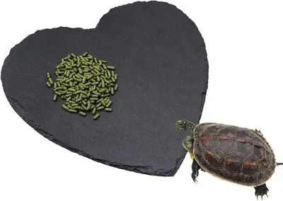 Produktbild von Reptilien-Sonnenplattform aus Naturstein - 20 x 20 cm - für verschiedene Tierarten