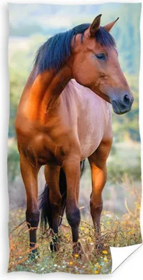 Produktbild von Pony Pferde Handtuch - Kleines Tuch für Kinder 50x30cm