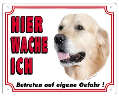 Image de Panneau d'avertissement "Golden Retriever", dimensions 250 x 200 mm