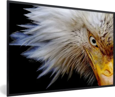 Produktbild von MuchoWow® Gerahmtes Poster Vogel - Auge - Schnabel 90x60 cm - Poster mit Schwarzem Bilderrahmen Wandposter Rahmen Foto Bilder - Fotorahmen - Foto-Plakat