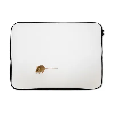 Produktbild von MuchoWow® Laptop Hülle 14 ZollMaus - Tiere - Weiß Laptoptasche - Laptoptasche - Stoßsicher - Schutzhaube