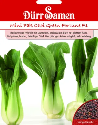 Produktbild von Dürr-Samen - Asia-Salat Green Fortune F1 - Saatgut - 0072