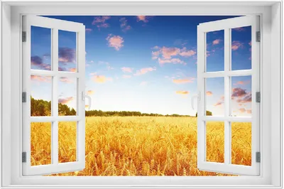 Produktbild von Wallario Wandbild mit Fenster-Illusion: Weizenfeld unter blauem Himmel, Größe: 61 x 91,5 cm, Poster mit weißem Aluminiumrahmen