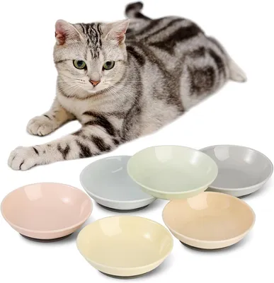 Immagine prodotto di Set di ciotole per cibo per gatti in Vetroceramica con tappetino antiscivolo