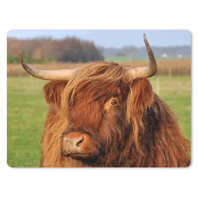 Produktbild von MuchoWow® Mauspad Mousepad Schottischer Highlander - Gras - Baum 23x19 cm - Mousepads - Maus Mat - Pad - Mausunterlage - Schreibtischunterlage - Mauspad