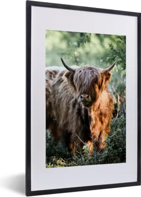 Produktbild von MuchoWow® Gerahmtes Poster Schottische Highlander - Wald - Tiere 40x60 cm - Poster mit Schwarzem Bilderrahmen Wandposter Rahmen Foto Bilder - Poster in Rahmen