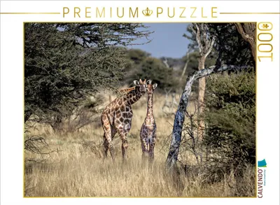 Produktbild von CALVENDO Puzzle Giraffen in der Savanne | 1000 Teile Lege-Größe 64x48cm Foto-Puzzle für glückliche Stunden