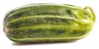 Produktbild von Mini- Melonengurke "Carosello Scopatizzo Barese"  - 10 Samen