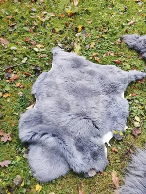 Produktbild von Echtes Schaffell  – rustikales Naturfell für Teppich, Felldecke oder Deko – kleine Schönheitsfehler .Größe:100cm - 110cm Grau