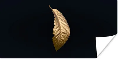 Produktbild von MuchoWow® Poster Blätter - Luxus - Gold - Schwarz - Natur 40x20 cm - Poster für die Wand - Poster Schlafzimmer