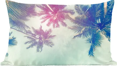 Produktbild von MuchoWow® Zierkissen Sofakissen Wohnzimmer Dekokissen 60x40 cm Palmen - Palmenblätter - Sommer - Tropisch - Kopfkissen - Polster mit Foto