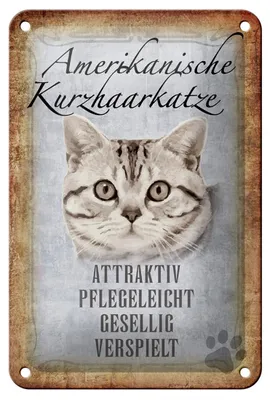 Produktbild von Blechschild Spruch 12x18cm Amerikanische Kurzhaarkatze