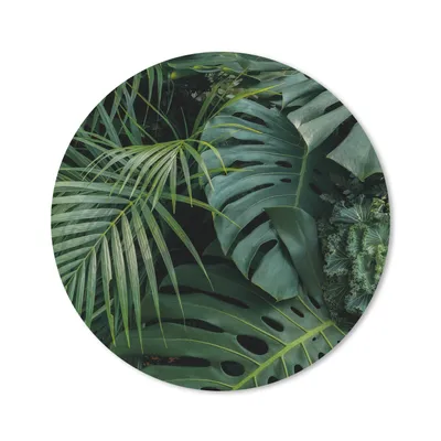 Produktbild von MuchoWow® Mauspad Mousepad Pflanzen - Dschungel - Blätter - Tropisch 50x50 cm - Mousepads - Maus Mat - Pad - Mausunterlage - Vinyl