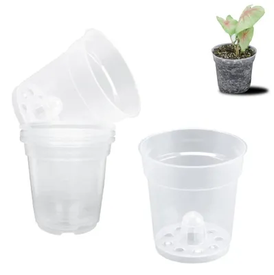 Produktbild von Set aus 6 Transparenten Orchideentöpfen
