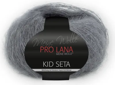 Produktbild von Pro Lana Kid Seta Uni 25g (97)