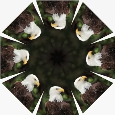 Produktbild von Regenschirm - Adler - Ø 95 cm
