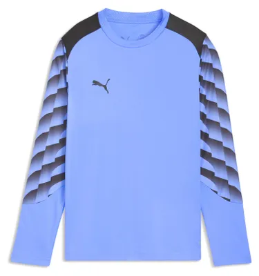 Zdjęcie produktu dla Koszulka Puma teamLIGA26 GK Jersey LS Jr, rozmiar: 152