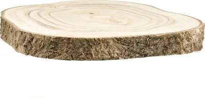 Produktbild von Krążek z drzewa Paulownia Ø20-25cm naturalny dekoracyjny drewniany krążek