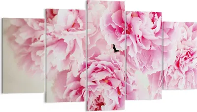 Produktbild von Bild auf Leinwand - Leinwandbild - 5 Teile - Pfingstrosen Blumenstrauß Blumen - 160x85cm - Wand Bild - Wanddeko - Wandbilder - Leinwanddruck - Bilder - Wanddekoration - Leinwand bilder - EA160x85-4961