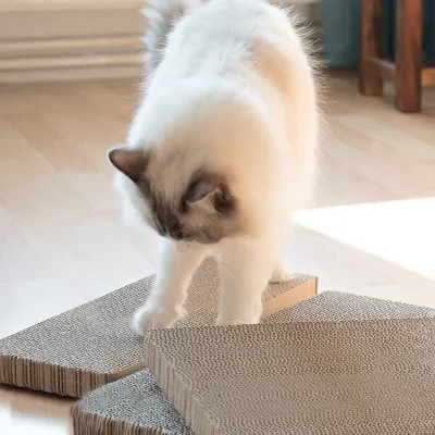 Produktbild von Navaris Katzen Kratzbrett 3er Set aus Karton - 43 x 24 x 4 cm Kratzpappe Kratzmatte - Kratz Pappe Katzenbrett für die Krallen Deiner Katze